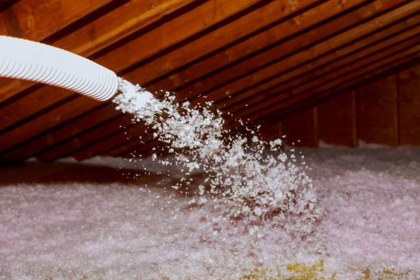 Best Local Insulation Services  in Prague, OK